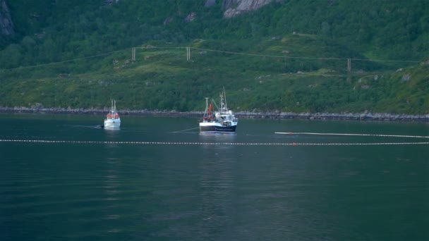 Fischereischiffe in der norwegischen See — Stockvideo