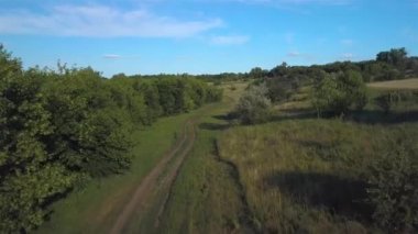 Kırsal üzerinde uçan. Ukrayna 4k
