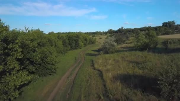 Flying Countryside Ukraine — Stock Video