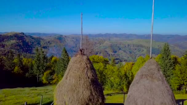 Flug über die Weide in den Karpaten — Stockvideo