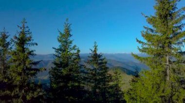 Karpat Dağları 'nın üzerinde uçarken