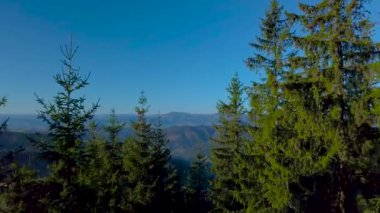 Karpat Dağları 'nın üzerinde uçarken