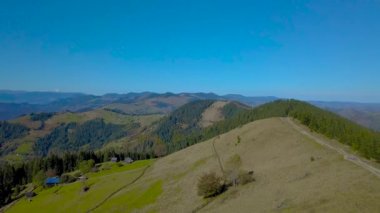 Uçan ridge, iğne yapraklı orman ve yolun üzerinde. Karpat Dağları güzel doğası. 4k