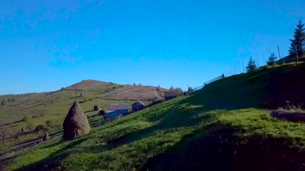 Flight over the pasture in the Carpathian Mountains — Stock Video