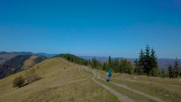Überfliegen einer wunderschönen Bergkette in den Karpaten — Stockvideo