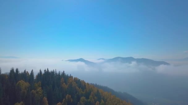 Voler dans les montagnes au-dessus de la forêt brumeuse du matin — Video