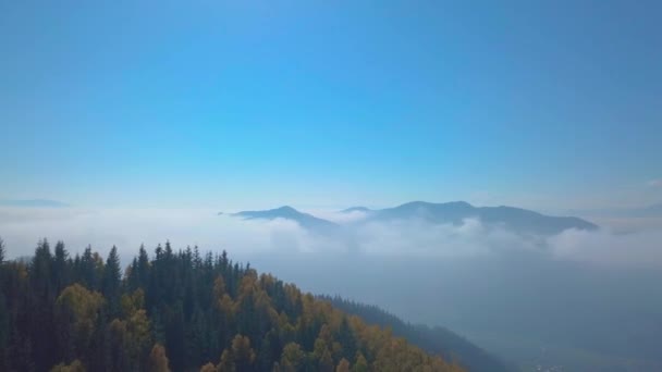 Volare sulle montagne sopra la foresta nebbiosa del mattino — Video Stock