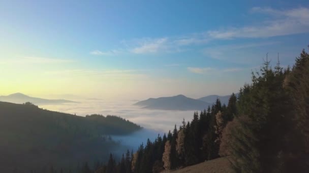 Voler dans les montagnes au-dessus de la forêt brumeuse du matin — Video