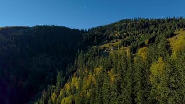 Fliegen über den Wald und das Haus der Hirten in den Karpaten — Stockvideo