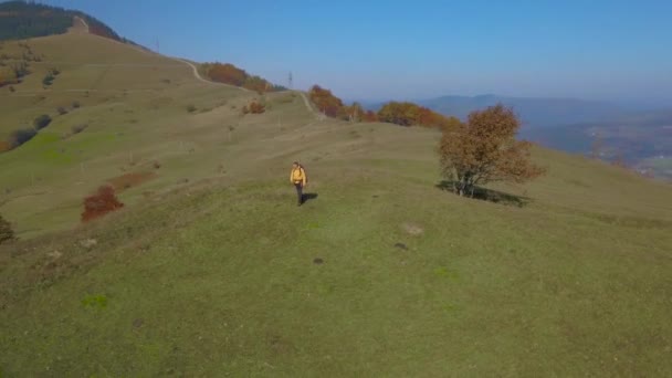 Um turista com uma mochila viaja nas montanhas dos Cárpatos — Vídeo de Stock