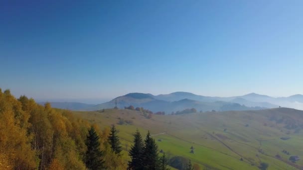 Vue aérienne des montagnes et de la forêt d'automne — Video