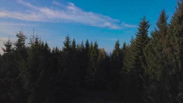 Fliegen über den Wald in den Bergen — Stockvideo