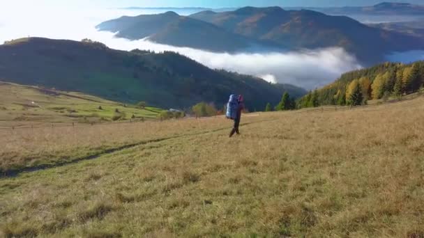 Ένας τουρίστας με ένα σακίδιο που ταξιδεύει στα Καρπάθια Όρη — Αρχείο Βίντεο