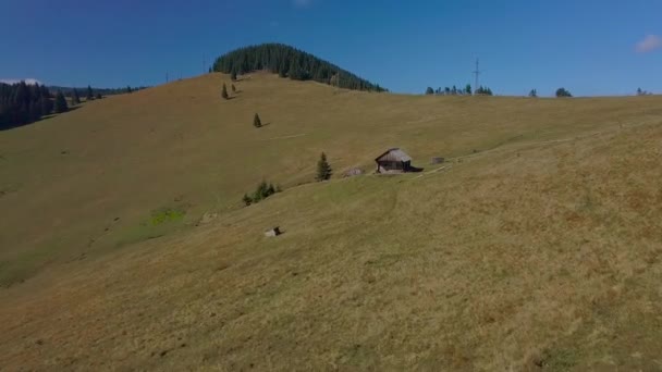 Flug über die Weide in den Karpaten — Stockvideo