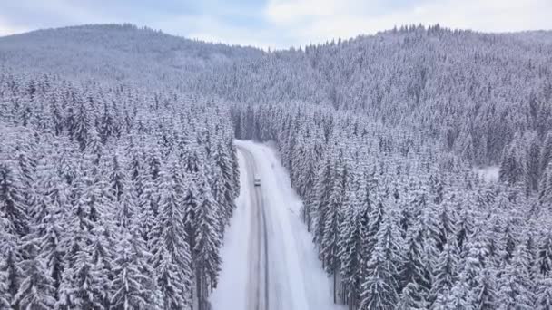 Luchtvlucht over het winterwoud met weg — Stockvideo