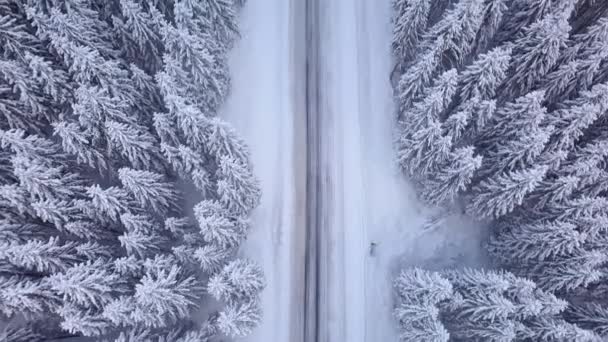 Vuelo aéreo sobre bosque de invierno con carretera — Vídeos de Stock