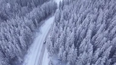 Yollu Kış Ormanı Üzerinde Hava Uçuşu