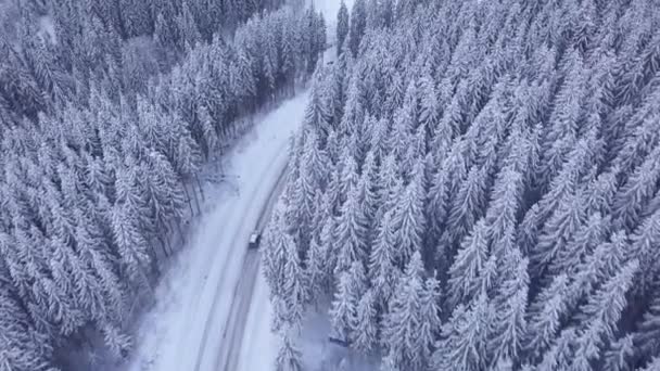 Vuelo aéreo sobre bosque de invierno con carretera — Vídeos de Stock