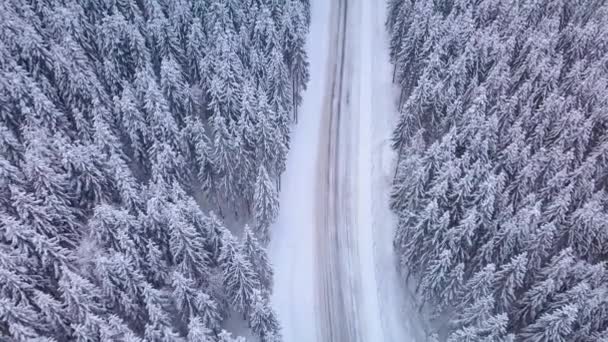 Letecký let přes zimní les se silnicí — Stock video