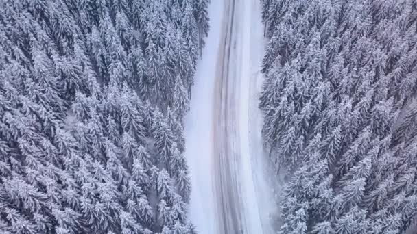 Vuelo aéreo sobre bosque de invierno con carretera — Vídeos de Stock