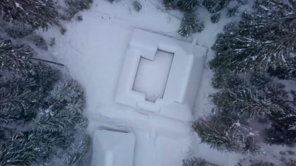 Вид с воздуха на деревянные дома и зимний лес — стоковое видео
