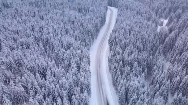 Volo aereo sopra la foresta invernale con strada — Video Stock