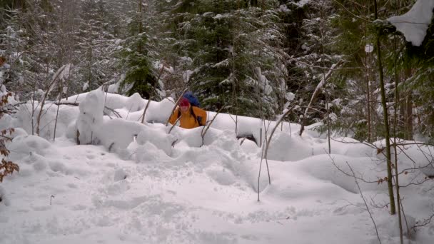 Backpacker wandern im Winterwald — Stockvideo