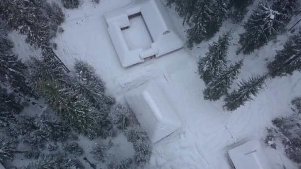 Vista aérea de casas de madera y bosque de invierno — Vídeos de Stock