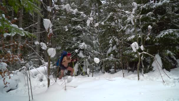 Kleedde man loopt door het bos van de winter — Stockvideo