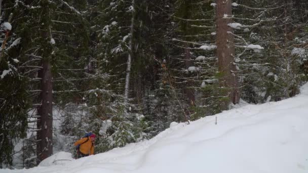 Senderismo de mochileros en el bosque de invierno — Vídeo de stock