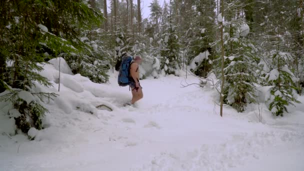 Раздетый человек ходит по зимнему лесу — стоковое видео