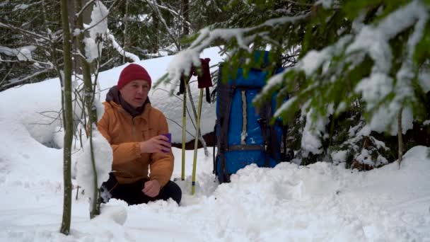 Ausruhen im Winterwald — Stockvideo