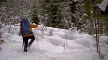 Backpacker kış ormanda hiking