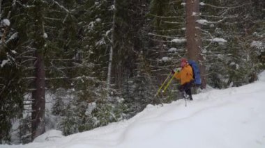 Backpacker kış ormanda hiking