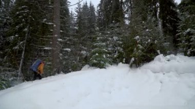 Backpacker kış ormanda hiking