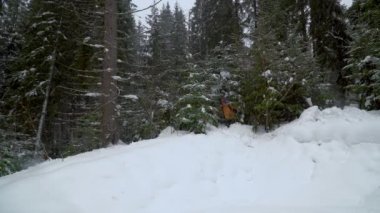 Backpacker kış ormanda hiking