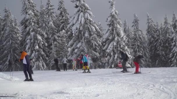Los esquiadores bajan por la pista en una estación de esquí — Vídeos de Stock