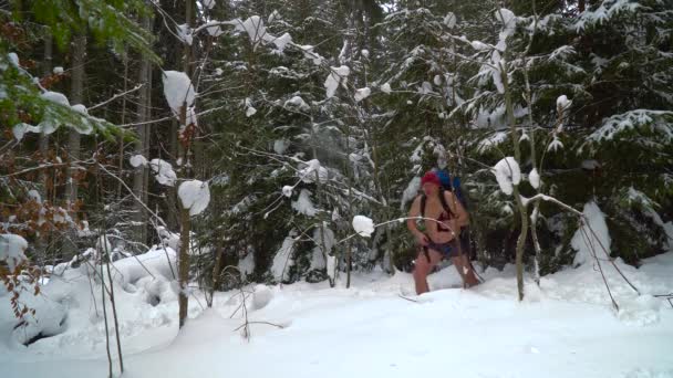 L'uomo svestito cammina attraverso la foresta invernale — Video Stock