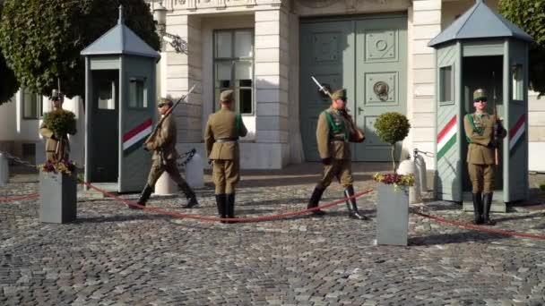 Az elnöki őr katonák végre a ceremoniális őrségváltás. — Stock videók