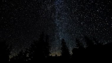 Kutup yıldızı rotaları