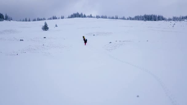 Luchtfoto Bekijk een groep toeristen op de sneeuw helling — Stockvideo