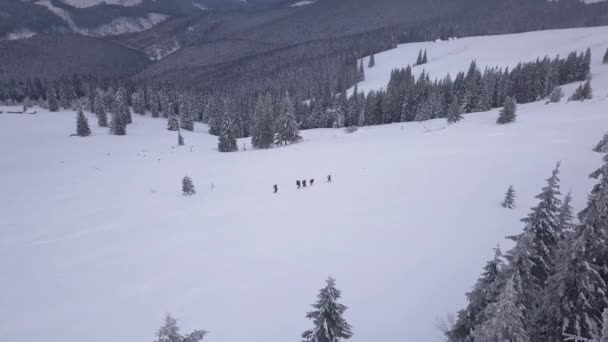 Überflug einer Touristengruppe in den Winterbergen — Stockvideo