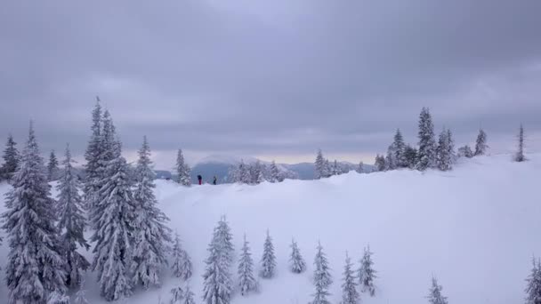 Sobrevolando un grupo de turistas en las montañas de invierno — Vídeo de stock