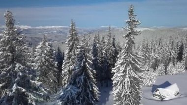 Kışın Orman ve Dağların Üzerinde Uçmak