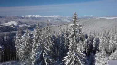 Kışın Orman ve Dağların Üzerinde Uçmak