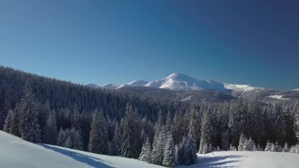 Volando sobre el bosque y las montañas en invierno — Vídeo de stock