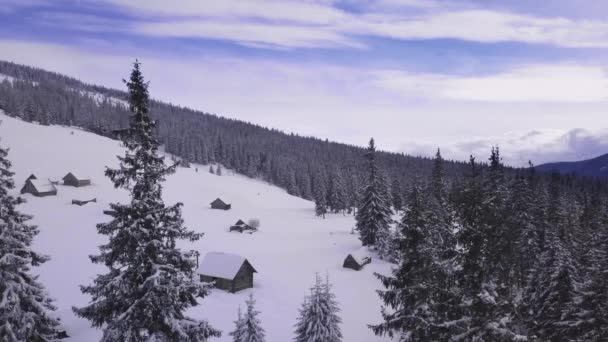 Im Winter über Wald, Berge und Hirtenhäuser fliegen — Stockvideo