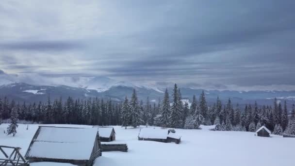 冬の森、山、羊飼いの家を飛び越える — ストック動画