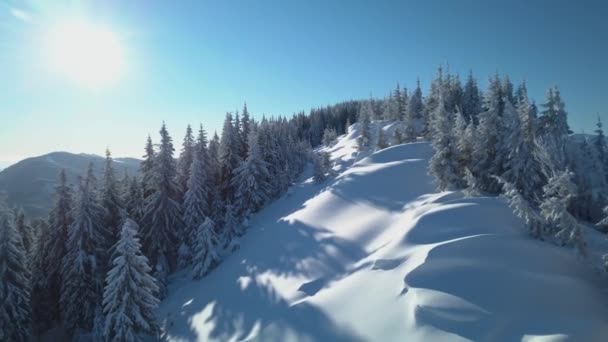 Voando sobre a floresta e montanhas no inverno — Vídeo de Stock