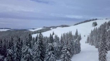 Kışın Orman ve Dağların Üzerinde Uçmak